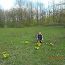 ���� ������, �������, 36 ��� - ��������� 17 ������ 2024 � ������ ���� ����������