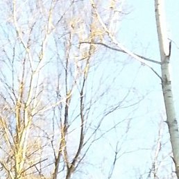 �����, ���, 48 ���