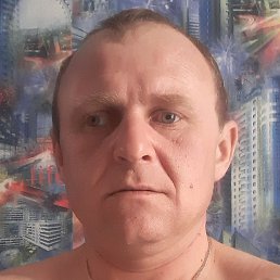 �����, ������, 41 ���