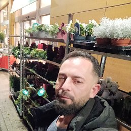 ���� ����, ������, 23 ���� - ��������� 26 ������� 2025