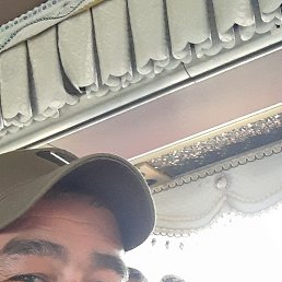 , 44, 