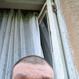 , 43, 