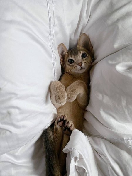 �� ����� �� ��� �������, ����� ����� �� ����������, ��� ��� ������� - 4