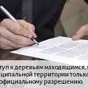 ���� ��������, ������-��-����, 38 ��� - ��������� 17 ������� 2026 � ������ ������ ��������