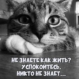 ������, �����, 18 ���