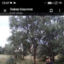 ���� �����, ����, 56 ��� - ��������� 15 ������ 2025 � ������ ���� ����������