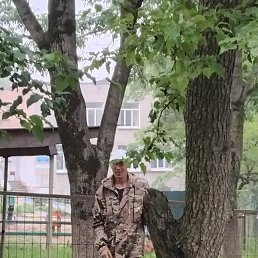 ���� ����, �����������, 42 ���� - ��������� 3 ������ 2026
