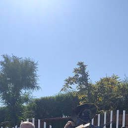 ������, �����������, 66 ���