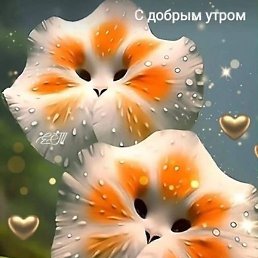 �������, ������, 63 ����