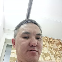 �������, ���������, 38 ���