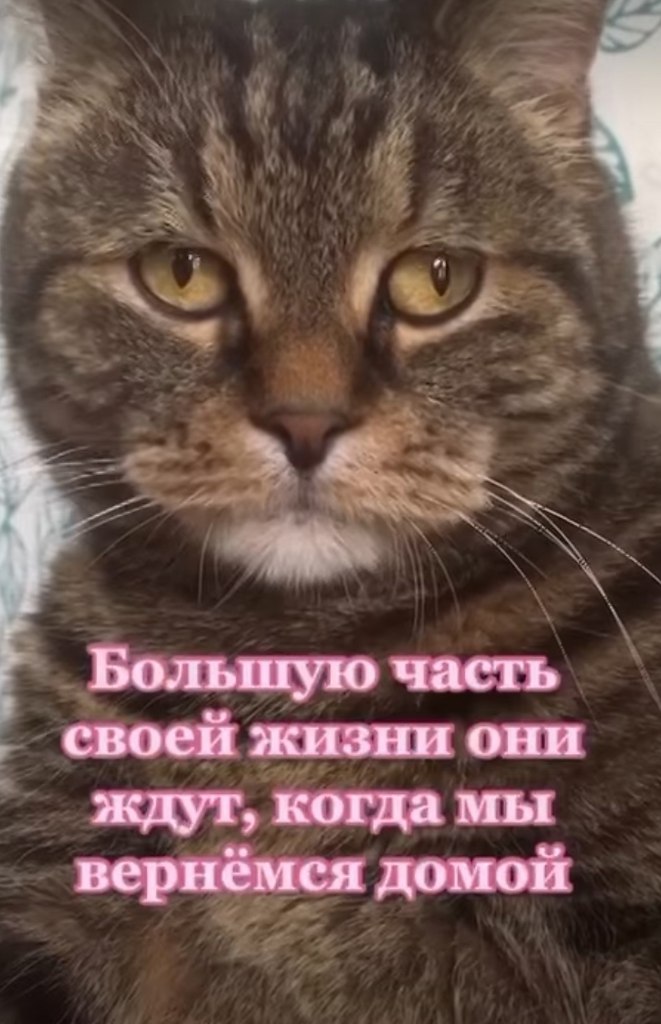  - 16  2025  00:03