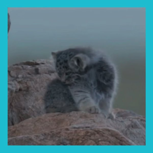� �������� ����� �� ����� ����� ����� �������. ��� ���������� ������! ��������� � �������� ... - 3