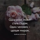  , , 49  -  13  2024    