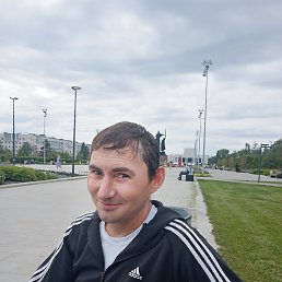, 41, 