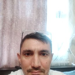 , 36 , 