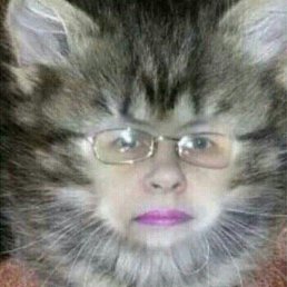 ������, ������, 61 ���