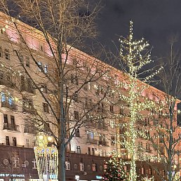 �����, ��������, 46 ���