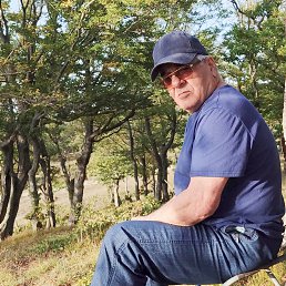 ���� Kadi, ������ - ��������� 19 �������� 2024