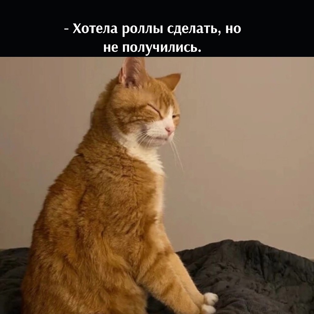 ��� ���� � ����� �� �� - 23 ������� 2026 � 16:30 - 4