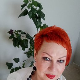 , 57, 