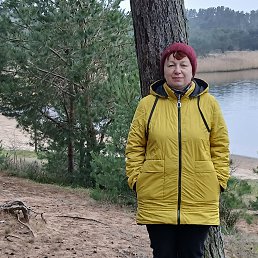 ���� ����, �����������, 53 ���� - ��������� 29 ������ 2026