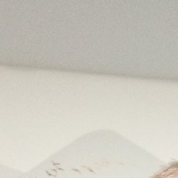 �����, ������, 42 ����