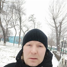 ���� ������, �������, 41 ��� - ��������� 9 ������ 2024