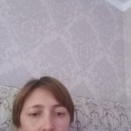 , 40, 