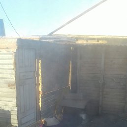 ���� ������, ������, 49 ��� - ��������� 16 ������� 2023