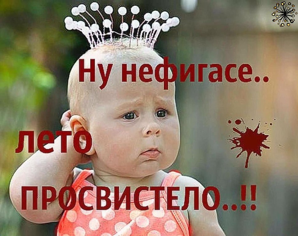 ����� - 1 �������� 2026 � 02:53