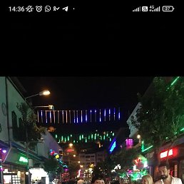 ����, �����-���������, 49 ���