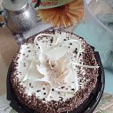 ���� �������, ���������� ����� - ��������� 16 ������ 2026 � ������ ���� ����������