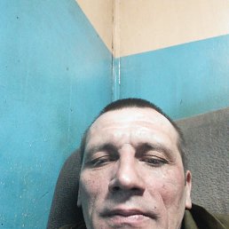 , 41, 