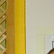 , 54 , 