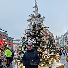 ���� ����, ������, 67 ��� - ��������� 17 ������� 2026