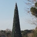 ���� �����, ������, 31 ��� - ��������� 15 ������� 2024 � ������ ���� ����������