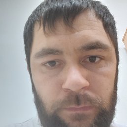 , 29, 