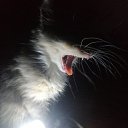 ���� �����_�������, ��������� - ��������� 19 ������� 2023 � ������ ���� ����������