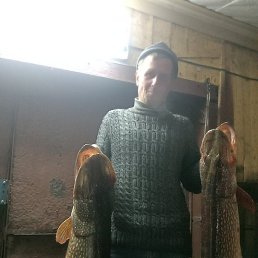 � � � � � �, �����, 51 ���