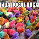  ,  -  3  2025   