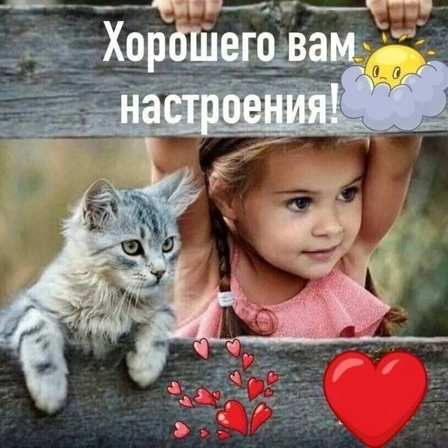  - 7  2025  11:15