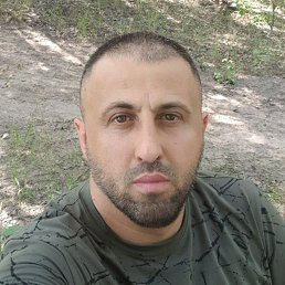 , 41,  