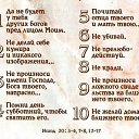 ���� Roberto, ������, 26 ��� - ��������� 25 ������� 2024