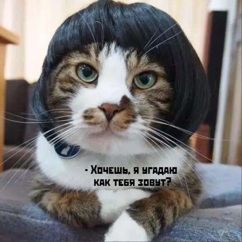       - 3  2025  11:52