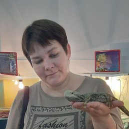 , 40,  