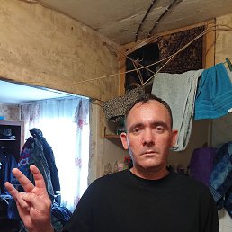 , 38, 
