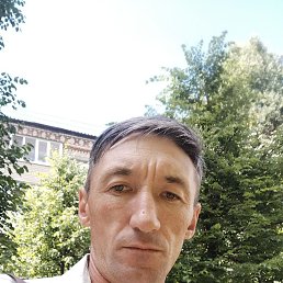 , 45, 