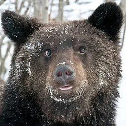 Den, ������, 28 ���