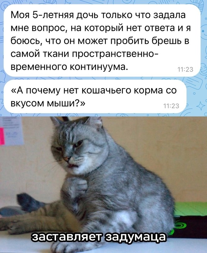   - 11  2024  23:07