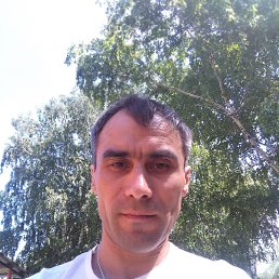 ���������, 42 ����, ���������